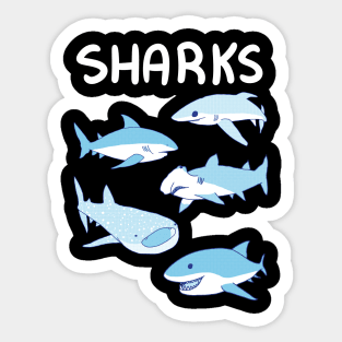 Sharks Sticker